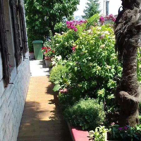 & Soba Skarica Affittacamere 3*